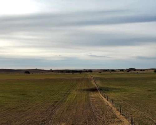 350ha Aptas Desarrollo Inmobiliario-turismo-ganadería-riego