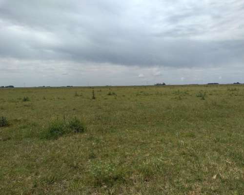 Ba3258 880 Has, Campo Ganadero Sobre Ruta en Gral Lamadrid