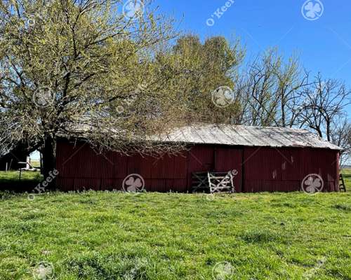 Campo en Venta de 1150 Has en Formosa. Cerca de Ruta Nac. 11