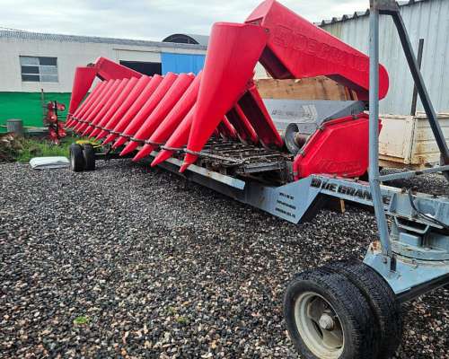 Maicero de Grande 13 a 52