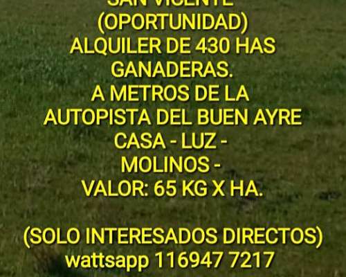 San Vicente: 430 Has (alquiler)