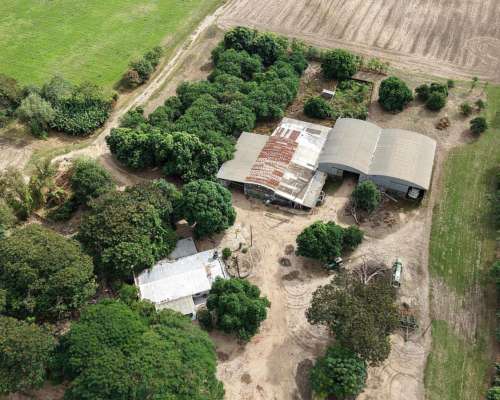 Palma Sola, Pilcomayo, Formosa - 153 Ha