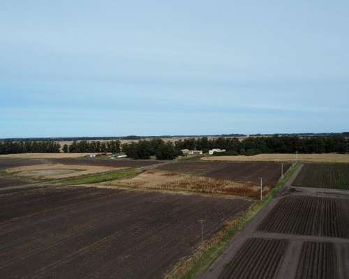 107 Has o 77 y 1/2 en Miramar - de Lujo -