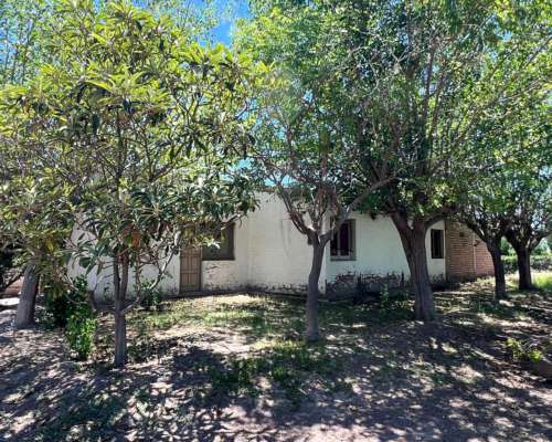 Finca en Venta en Producción Lavalle