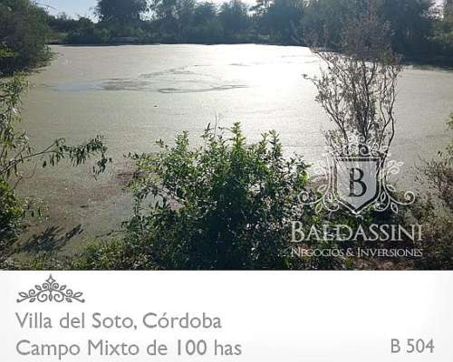 Campo Mixto - Villa del Soto - Córdoba - 100 Has