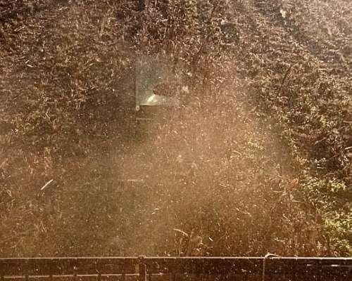 Servicios para el Campo