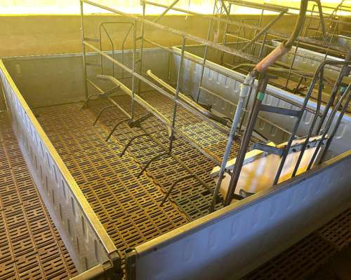 Vendo 12 Parideras Completas