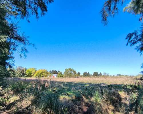 7 Hectáreas 73.000 M2 Casa Quinta, Salón, Galpón, Horticultu