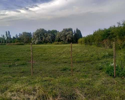 Campo Ganadero en Rauch