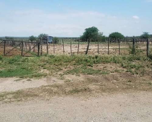 Ezn Venta Campo Ganadero 700