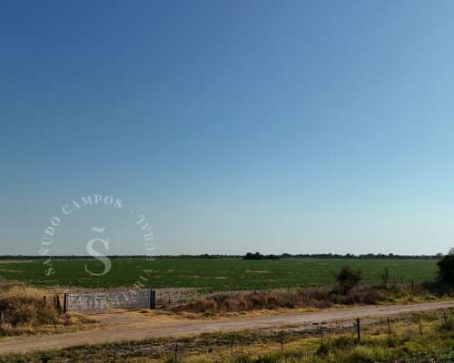 Venta Campo. 64 Hectáreas. Soledad, Santa FE.