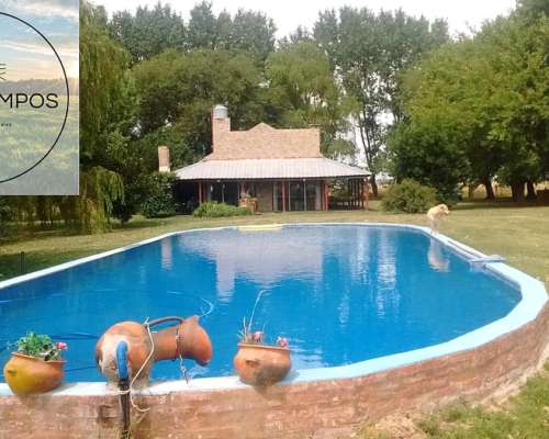 En Venta muy Buen Campito Ganadero