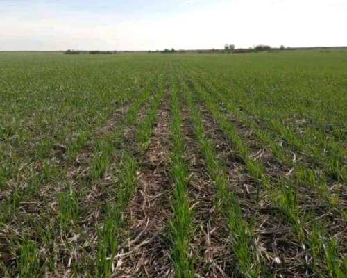 Inmobiliaria Pousa Pousa Vende