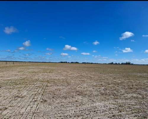 Se Venden 400 Ha en Bella Italia