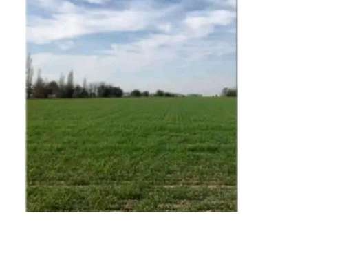 Venta de Campo en Cardales