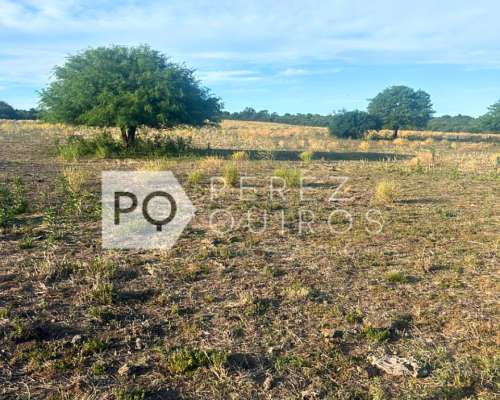 Se Vende Campo Agricola en Tulumba
