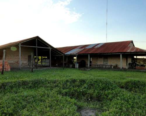 Campo 3180 Has en Pastoril- Formosa