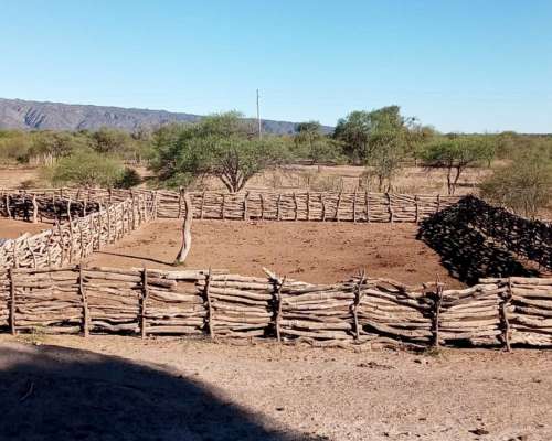 Agua, Luz, Ruta 29, Chepes, Ganadero, Escritura