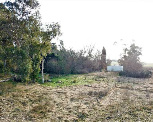 San Enrique 137 Ha 25 de Mayo BS. AS.