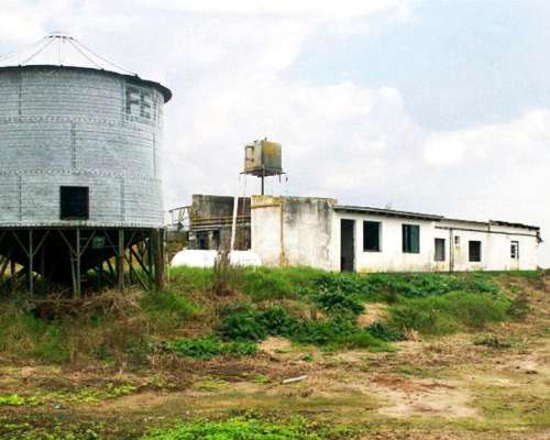 General Viamonte, Buenos Aires - 399 Ha