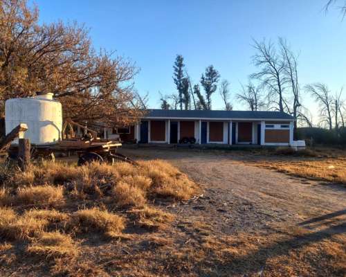 Campo con Fabrica de Aceite de Oliva en Catamarca