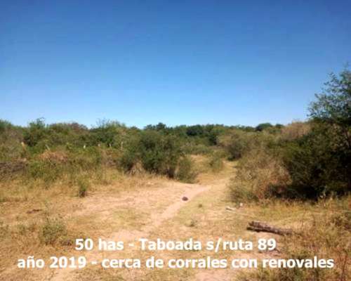 Stgo, Taboada, 50 Has con Riego, Sobre Ruta 89 Asfaltada