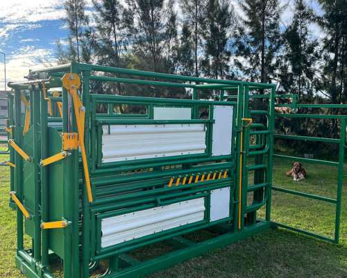 Cepo y Casilla de Operacion para Ganado.