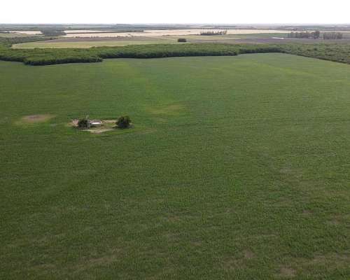 525 Hectáreas Agrícolas Sobre Ruta, San Marcial.