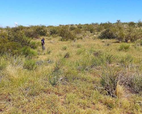 14500 Ha Ganaderas, la Paz, Mendoza