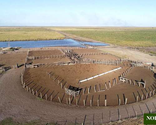 Los Amores, Vera, Santa FE - 10.000 Ha