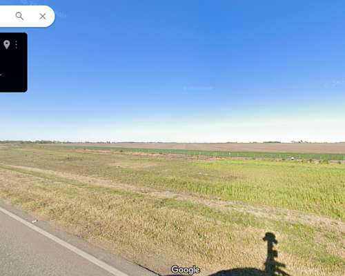 Oliva, Venta Campo +
