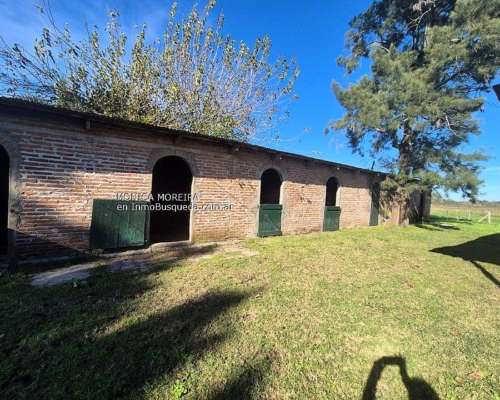 Campo 8 HA. la Plata, Mixto Recreativo.
