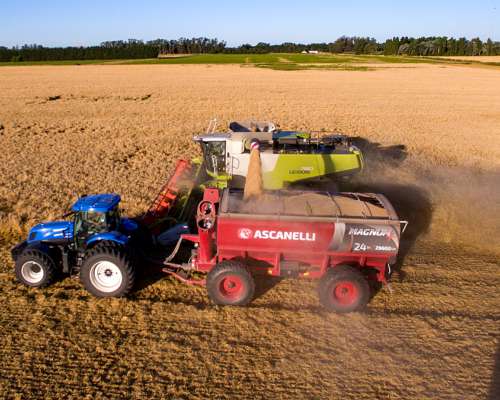 Tolva Autodescargable Ascanelli 24 TN - 29.600 Lts.