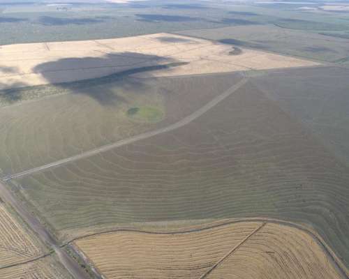 1.239 Has - en Venta - Federal - Entre Ríos