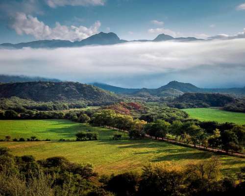 Coronel Moldes, la Viña, Salta - 24.137 Ha