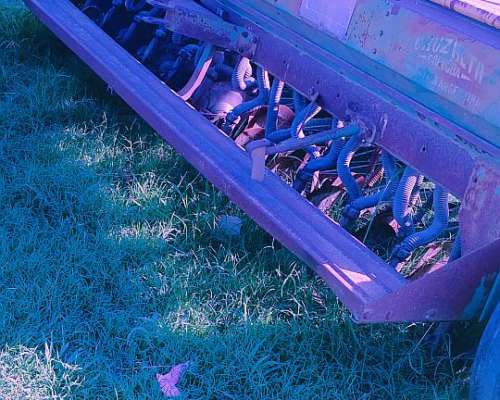 Pierobon en Directo Estado de Campo