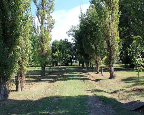Ba2964 Torres Lujan Buenos Aires