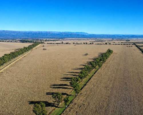 Alta Gracia, Santa María, Córdoba - 823 Ha