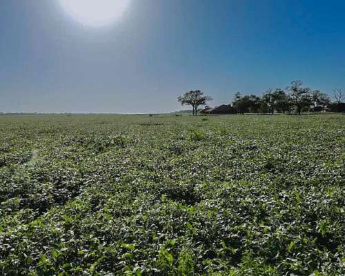Estancia Don Nicolás Mixto