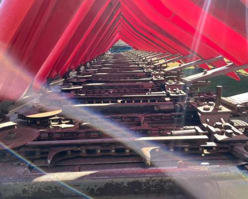 Maicero de Grande 16 a 52 año 2011-financiación Propia