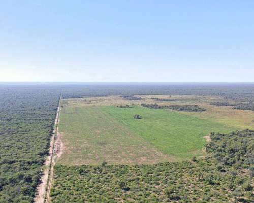 Pcia. de Santiago del Estero - el Fisco de Fátima 9389 Has