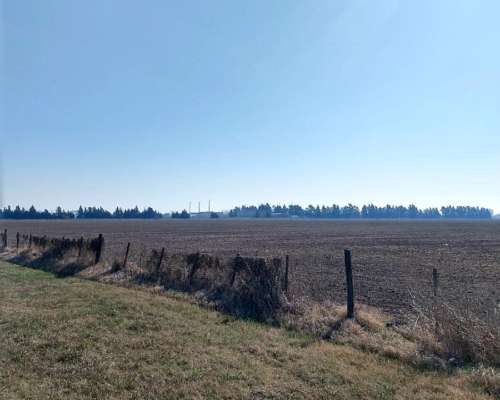 Campo de 6,29 Ha Sobre Autopista ROS - BS AS