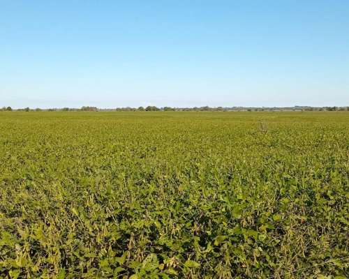 120 Ha en Don Cristobal. Campo Mixto