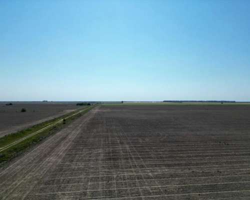 1000 Hectáreas Mixtas. Sobre Ruta.