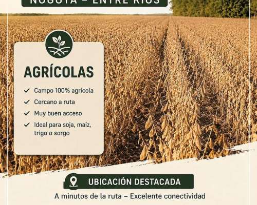 73 Has Agricolas Nogoya