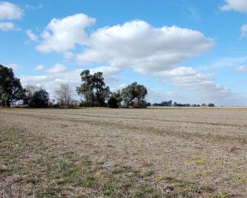 550 HA. Agrícolas en 25 de Mayo
