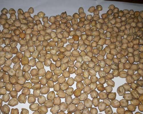 Soja, Maiz, Porotos, Legumbres, Cereales - Exportaciones