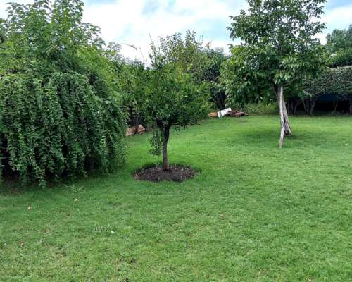 Casas de Campo, Alquiler Temporario