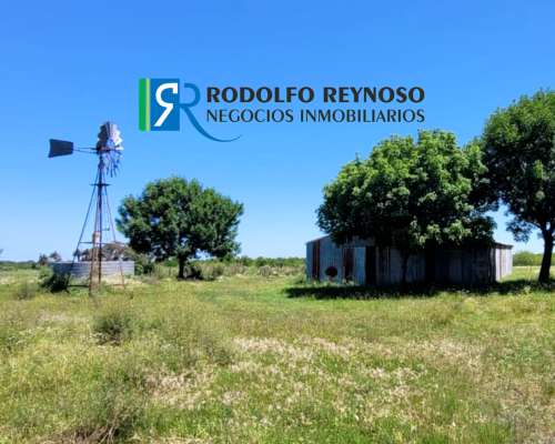 27 HA. en Villa Elisa - Entre Ríos