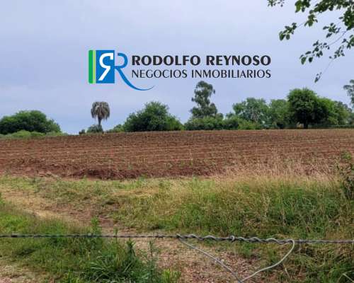 12 HA. Sobre Autovía 14 - Dpto. Colón (er)